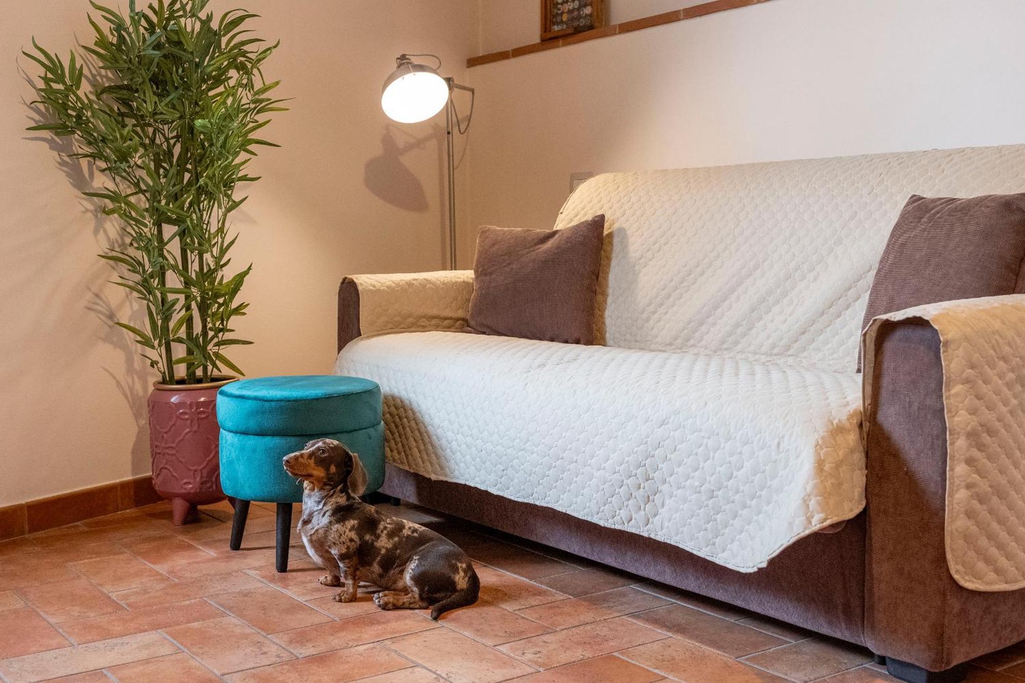 Miva Di Piu Casa Vacanza Arezzo Exteriér fotografie
